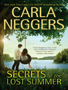 Cover image for Secrets of the Lost Summer